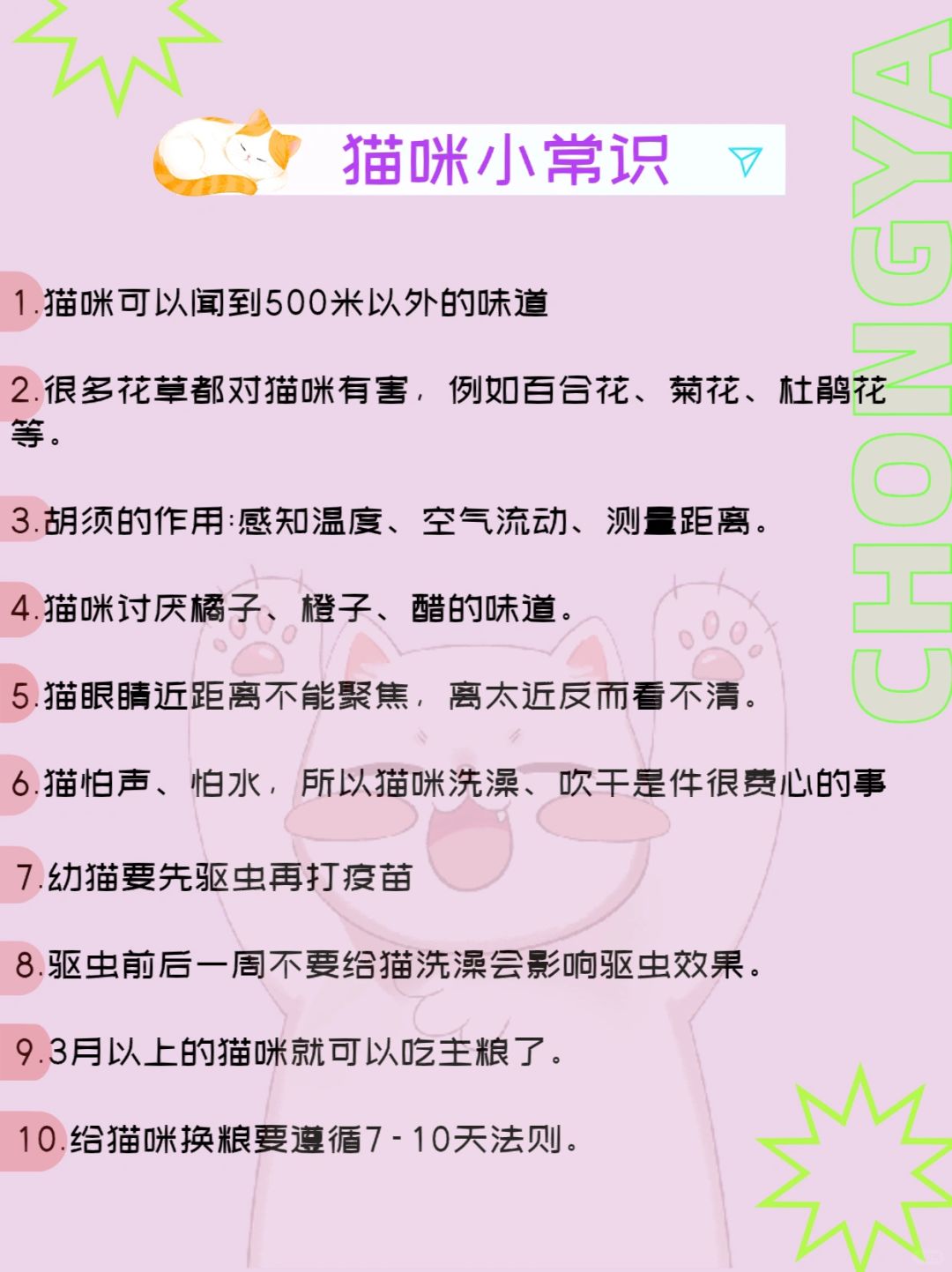 测试猫咪的小技巧，生活实用妙招分享