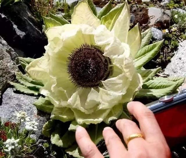 生活小妙招助治肾虚，健康生活从此开始！